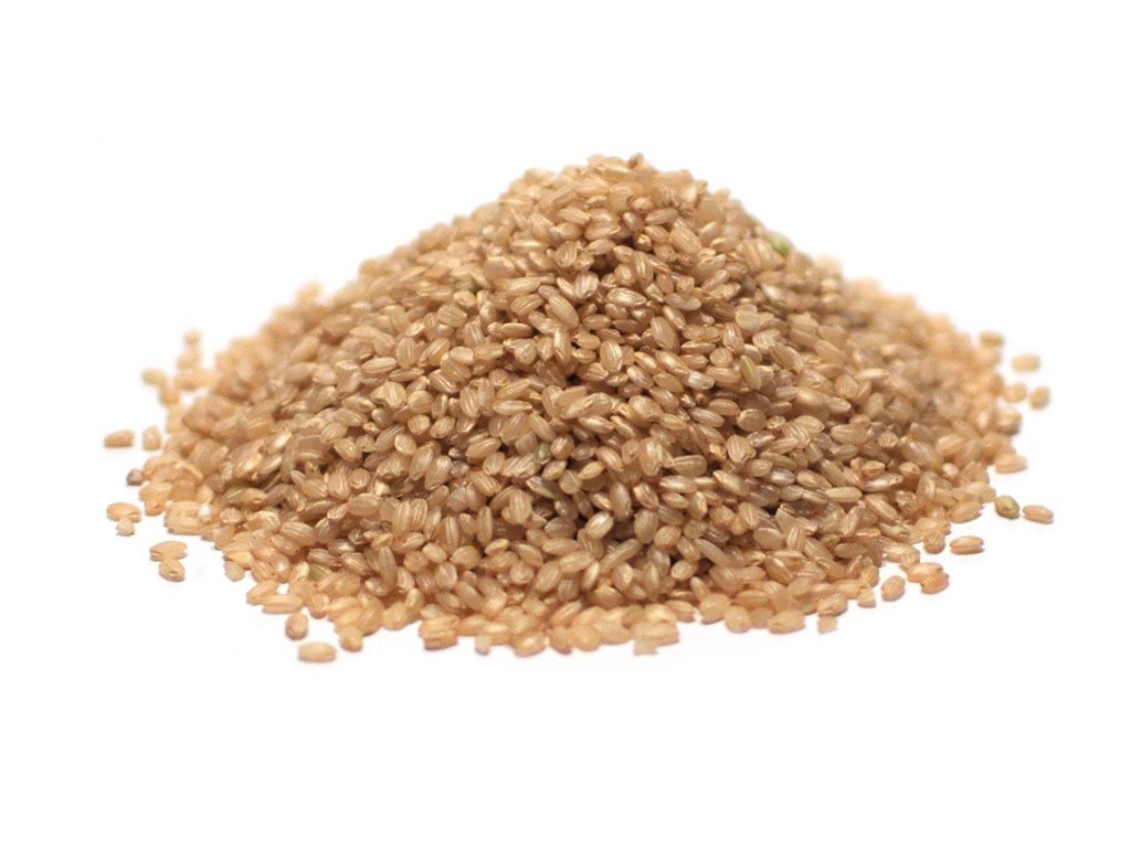 Buy Organic Short Grain Brown Rice in Bulk at Mount Hope